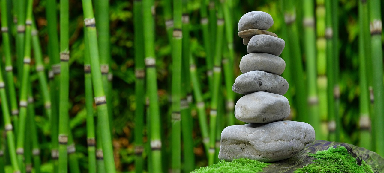 Rustgevende groene planten in zen-hoekje. Rustgevende groene planten in zen-hoekje.