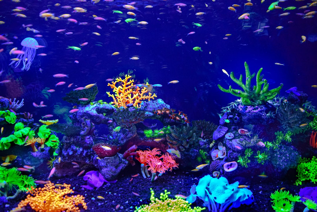 Onderwaterwereld in glazen vaas met verlichte schelpen. Onderwaterwereld in glazen vaas met verlichte schelpen.