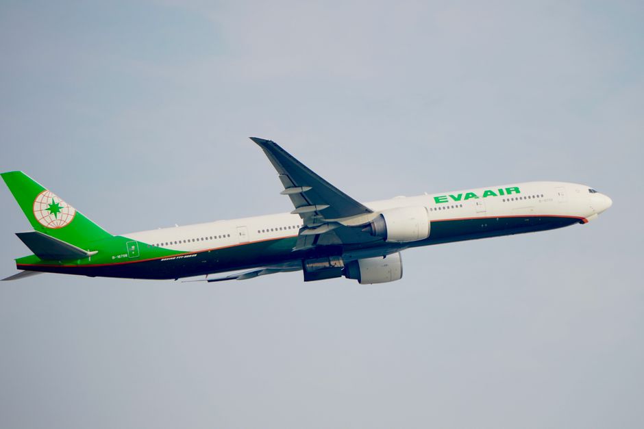 Gezonde werkomgeving vol luchtverfrissende planten.