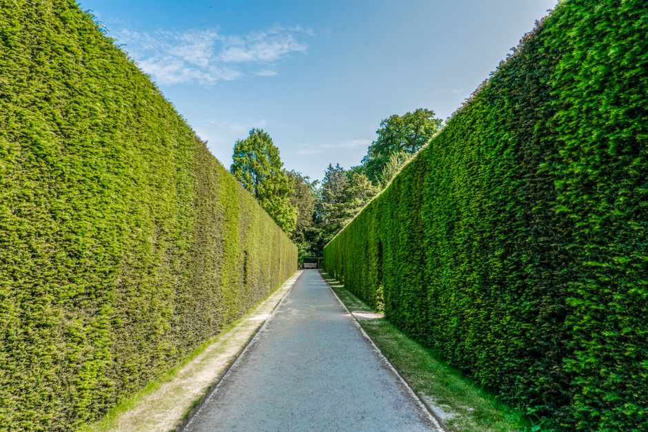 Groenblijvende heggen creëren beschutte tuinen. Groenblijvende heggen creëren beschutte tuinen.