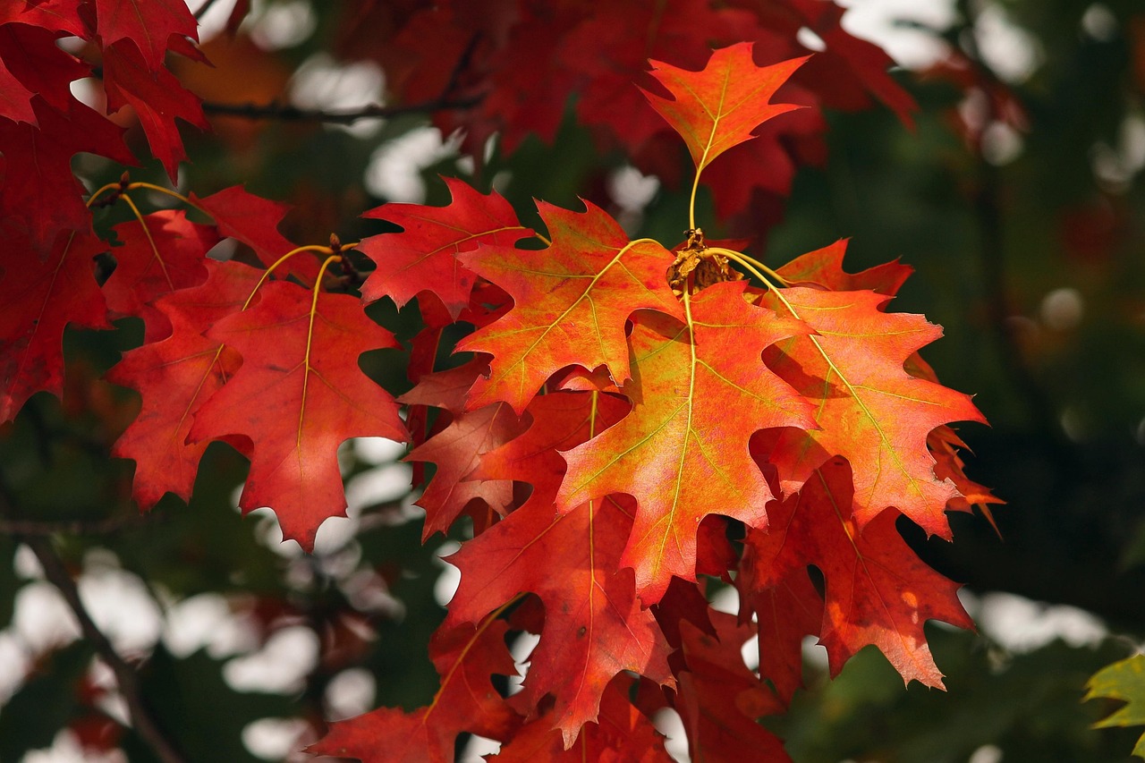 Herfstmake-over met warme muurkleuren.