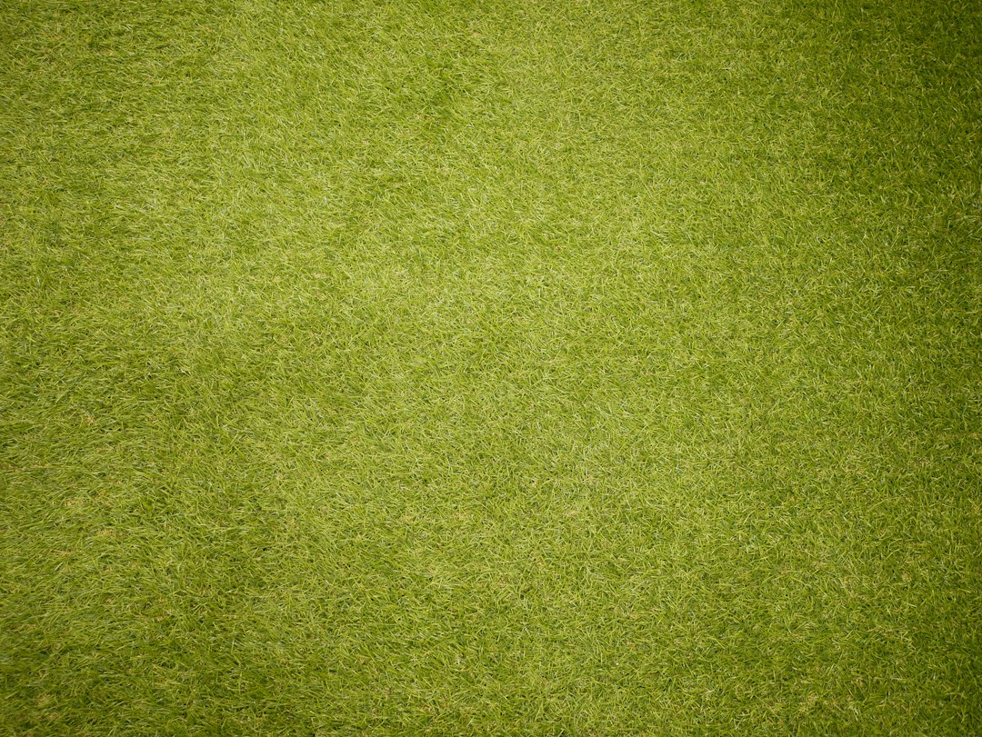 Groene gordijnen naast vallende herfstbladeren. Groene gordijnen naast vallende herfstbladeren.